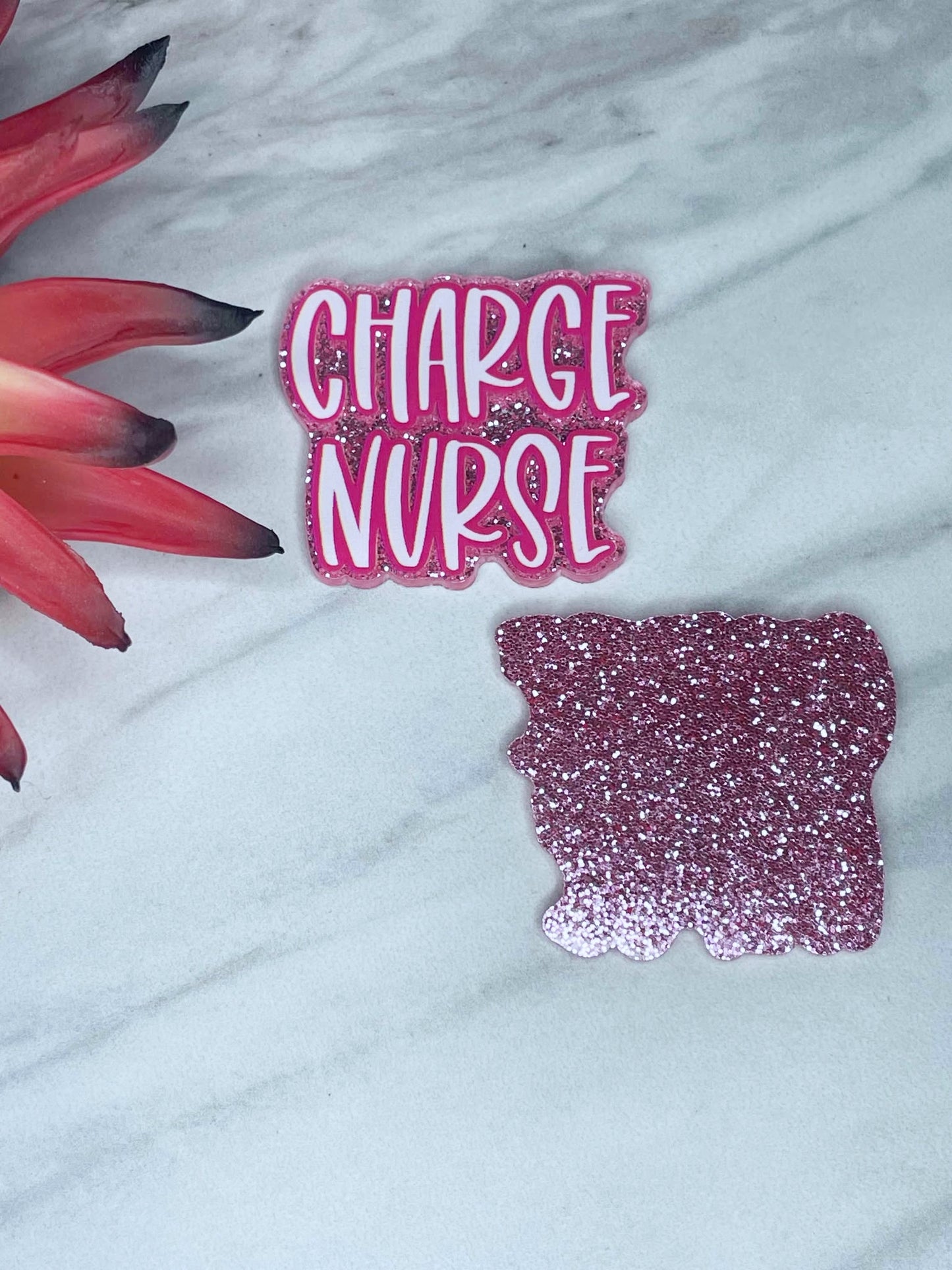 FLATBACK ACRYLIC CHARGE NURSE F316 (1ct)