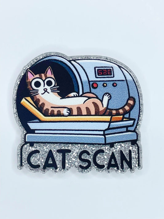 FLATBACK ACRYLIC CAT SCAN F165