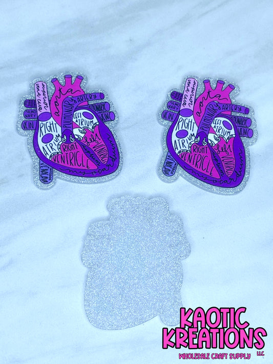 FLATBACK ACRYLIC ANATOMIC CARDIOLOGY HEART F88 (1ct)
