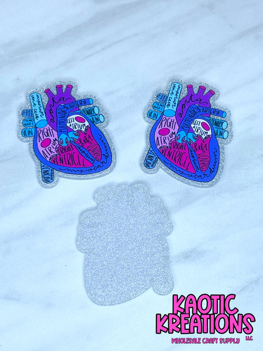 FLATBACK ACRYLIC ANATOMIC CARDIOLOGY HEART F313 (1ct)