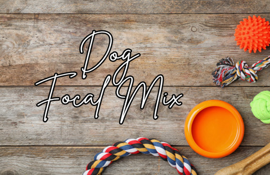 DOG/DOG MOM  FOCAL MIX - PACK OF 10
