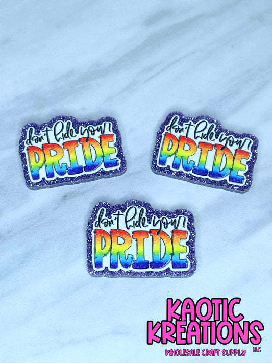 FLATBACK ACRYLIC DON'T HIDE YOUR PRIDE F444 (1ct)