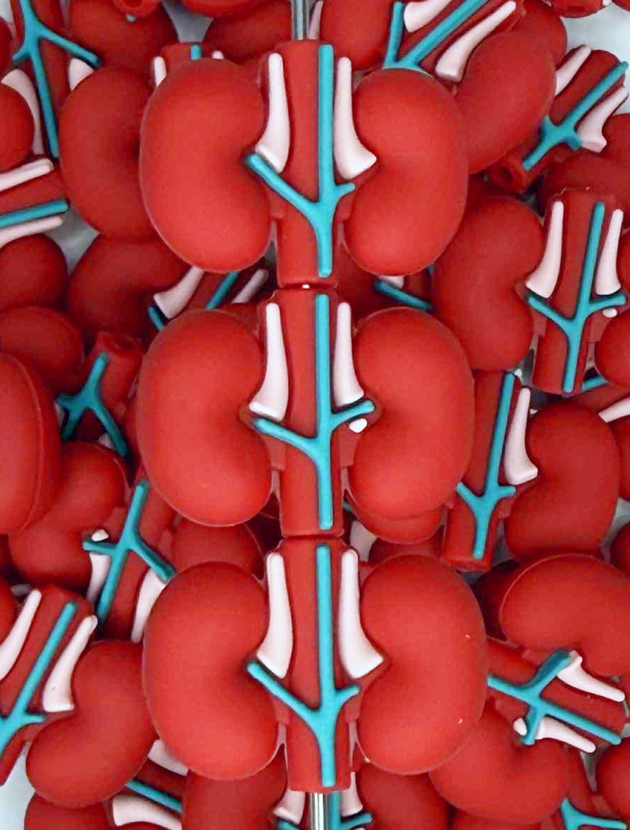 3D KIDNEYS SILICONE FOCAL D11 (1ct)