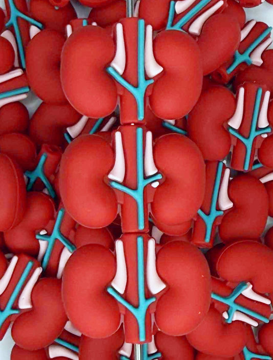 3D KIDNEYS SILICONE FOCAL D11 (1ct)